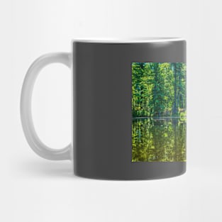 Wason Pond Bridge Mug